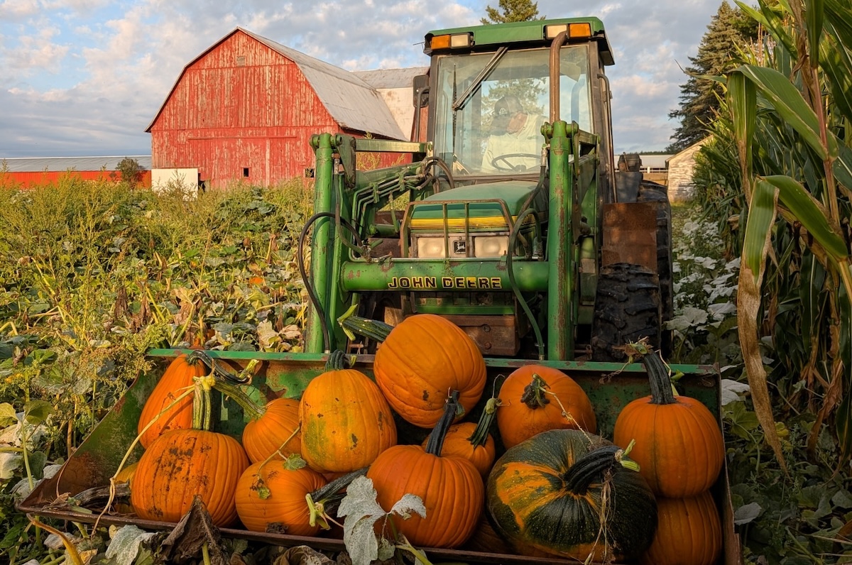 Chelmick Farm Thrills & Chills in Cadillac | Features | Northern Express
