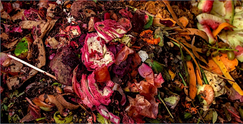 Composting for the Win in TC! | Features | Northern Express