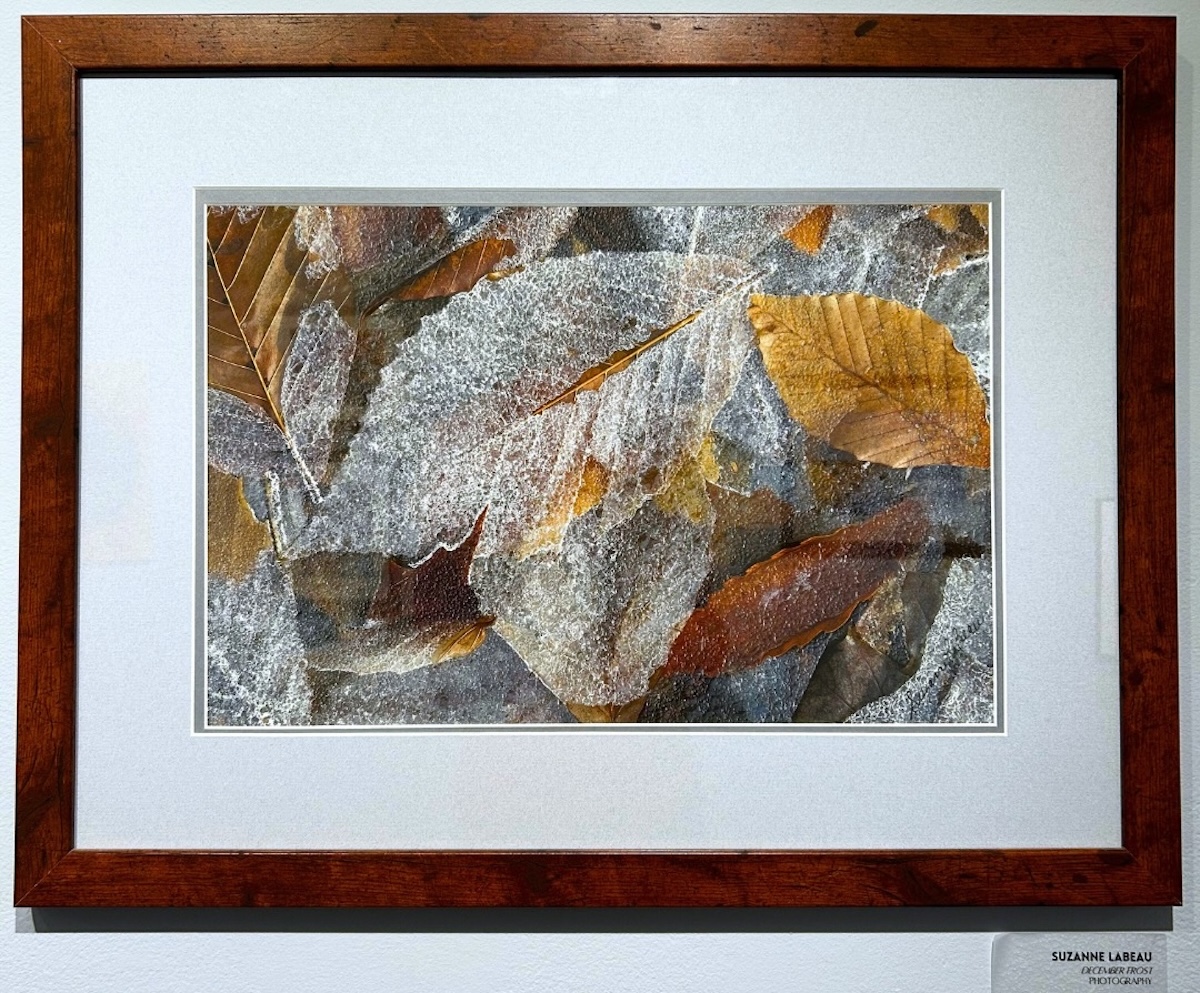 Galleries Highlighting Local Artists