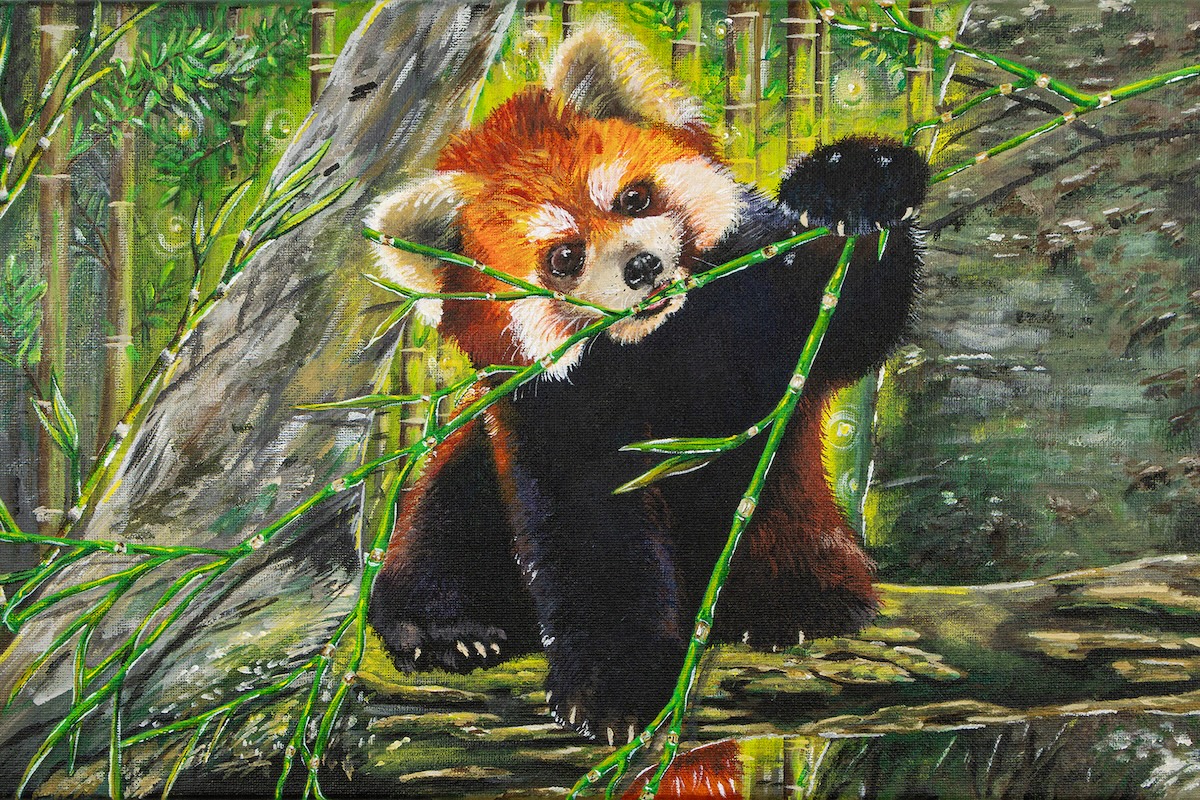 A Young Wildlife Artist on the International Stage