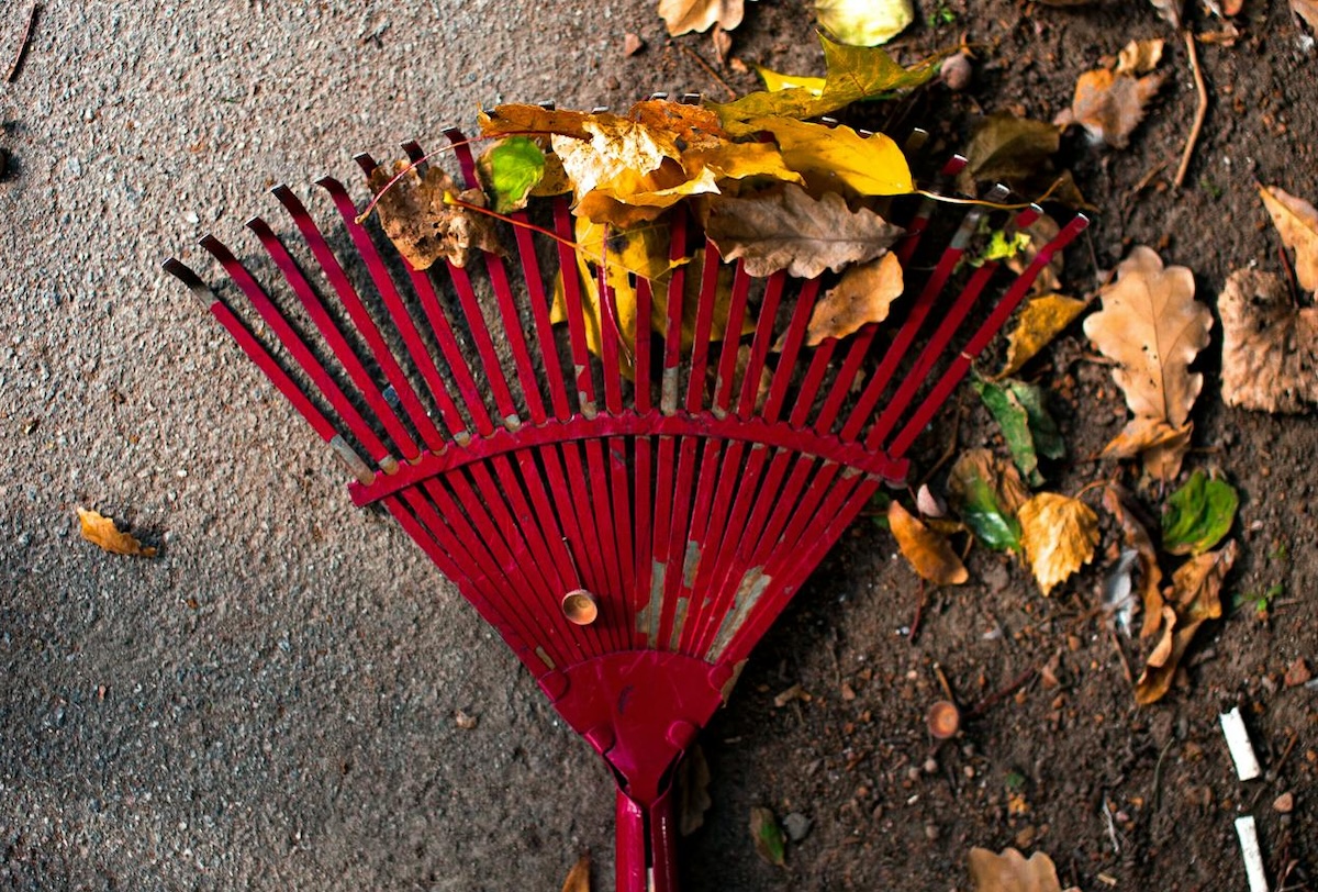 Raking a Difference | Features | Northern Express