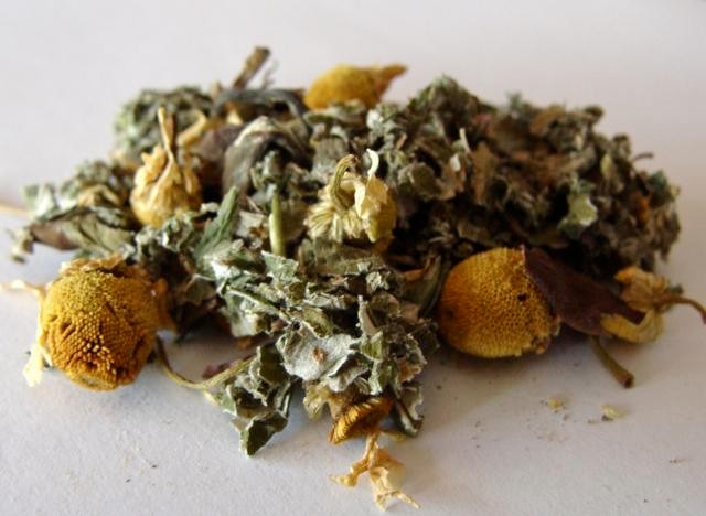 Still Tea Light of Day Organics' Be Still Tea | Food | Northern Express