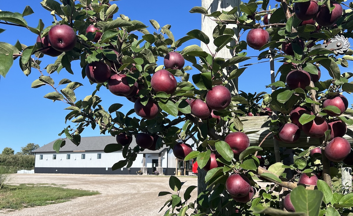 Fall Apple Event The 2026 Apple Report | The Ticker