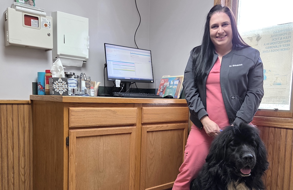 What Happens When Your Dog Gets Ahold of a Weed Gummy?