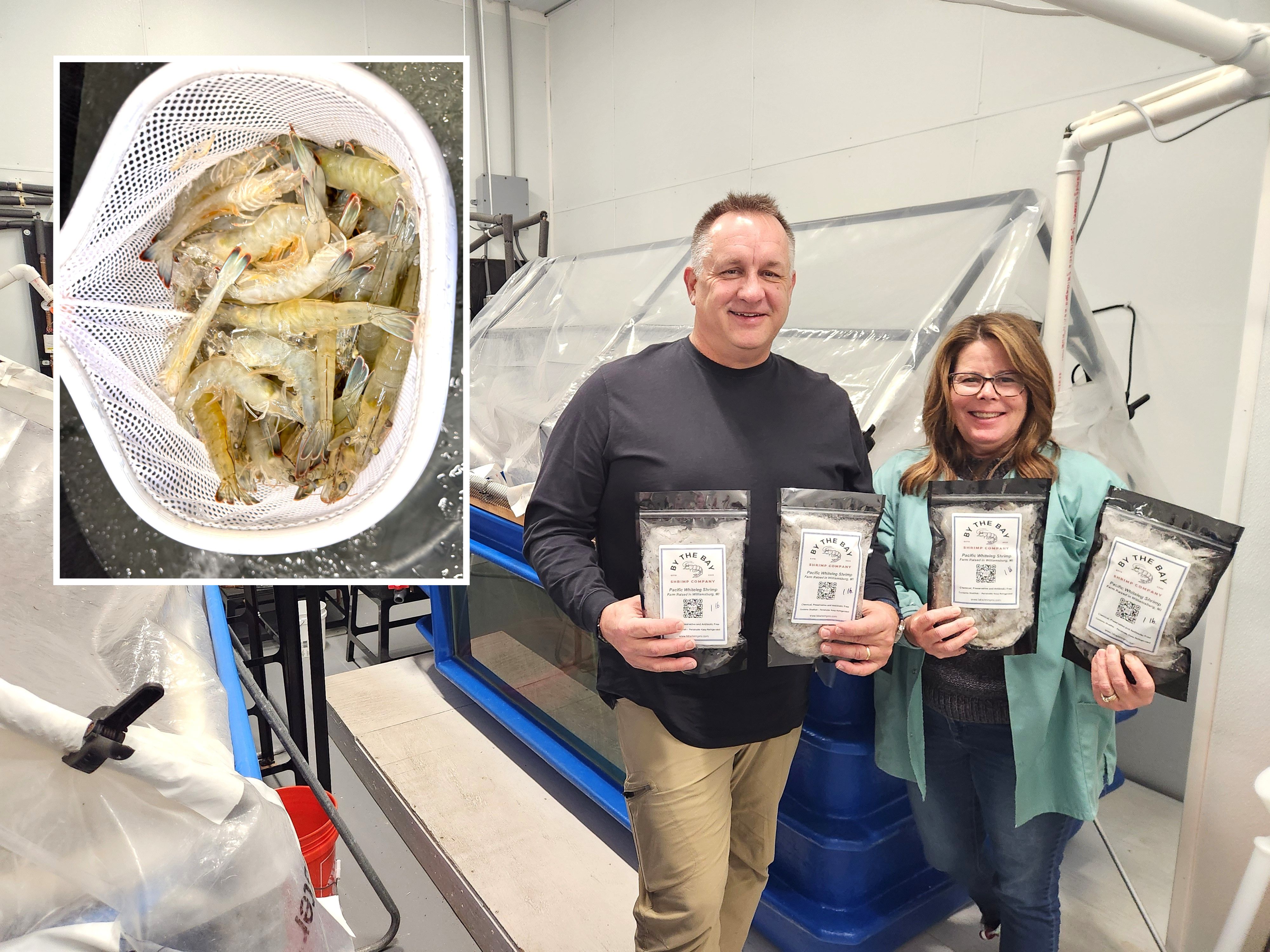 Tank To Table: Momentum Builds For Local Shrimp Company