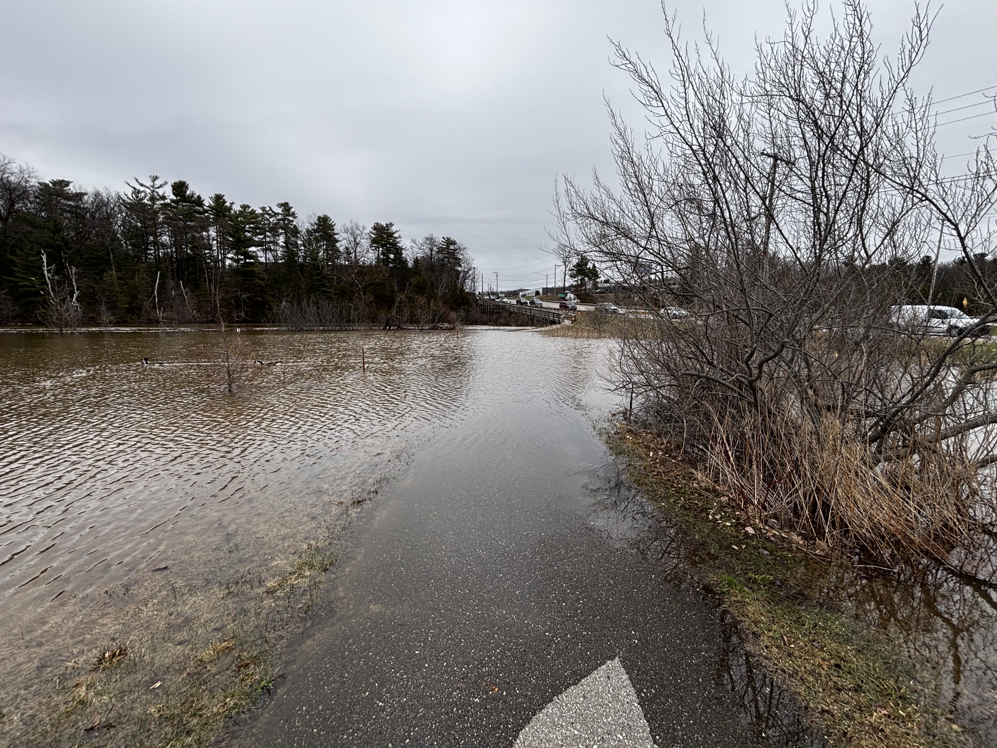 Local State of Emergency Declared in GT County | The Ticker