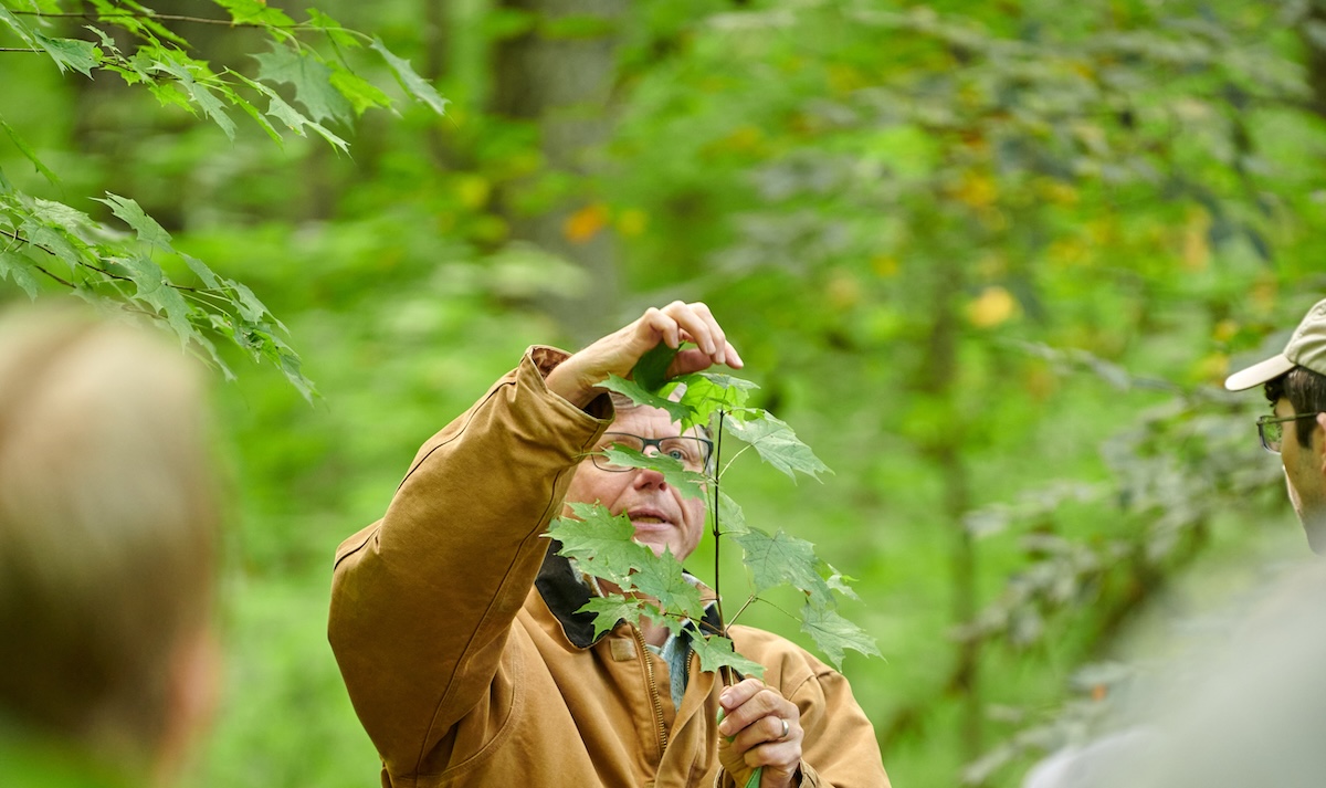 Are Michigan’s Forests at Risk?
