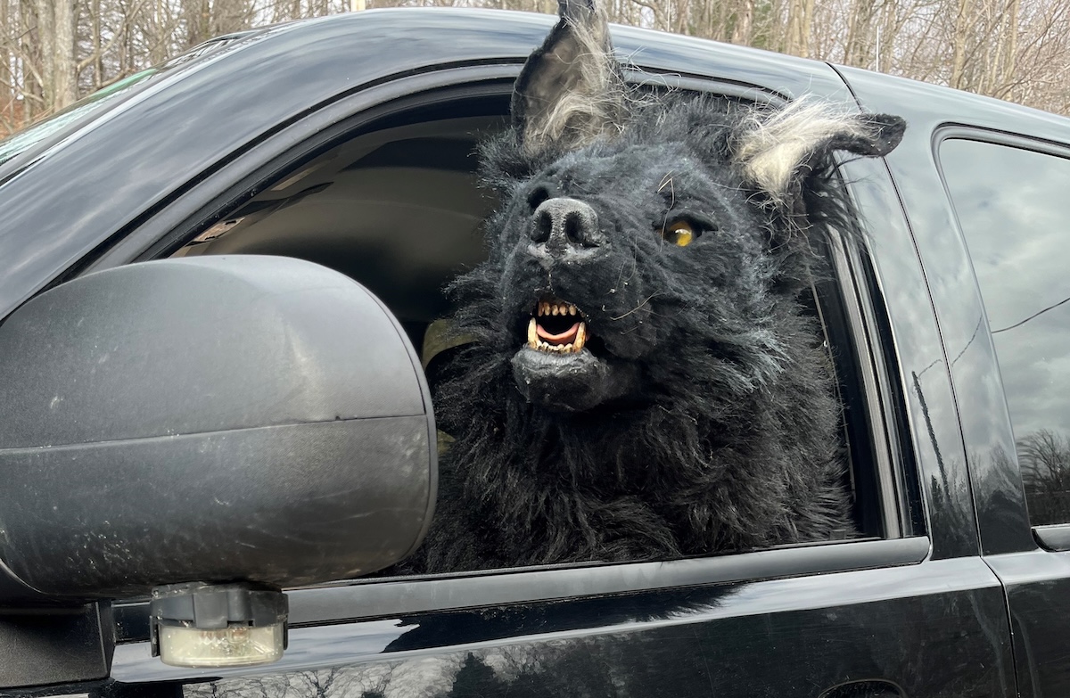 Film Review Dogman3 Fight to the Finish Features Northern Express